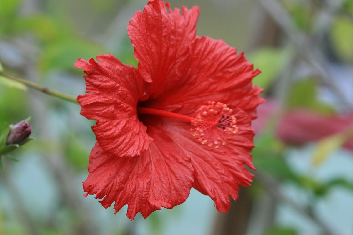 «ö¦¹¦b·sµøµ¡ÂsÄý¹Ï¤ù