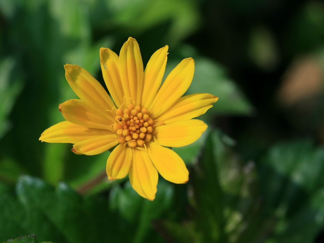 «ö¦¹¦b·sµøµ¡ÂsÄý¹Ï¤ù