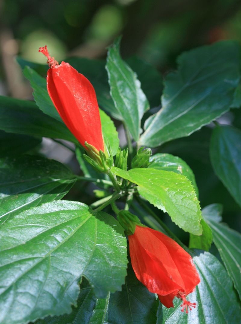 «ö¦¹¦b·sµøµ¡ÂsÄý¹Ï¤ù