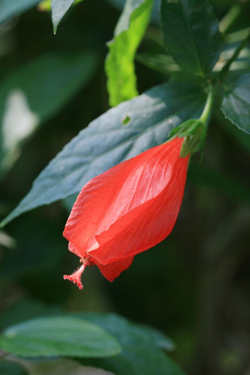 «ö¦¹¦b·sµøµ¡ÂsÄý¹Ï¤ù