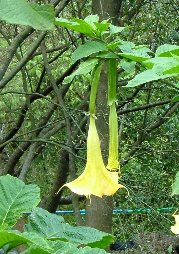 «ö¦¹¦b·sµøµ¡ÂsÄý¹Ï¤ù