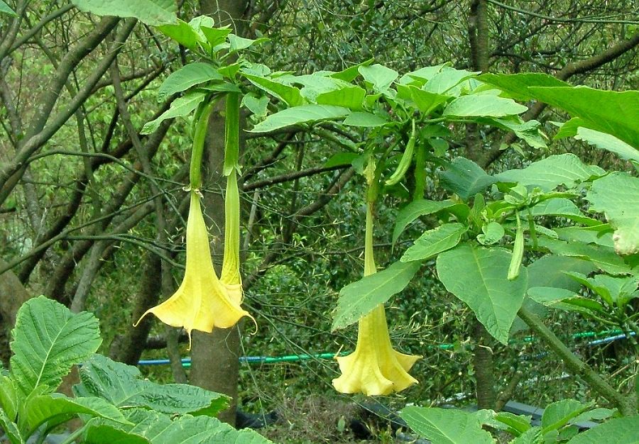 «ö¦¹¦b·sµøµ¡ÂsÄý¹Ï¤ù