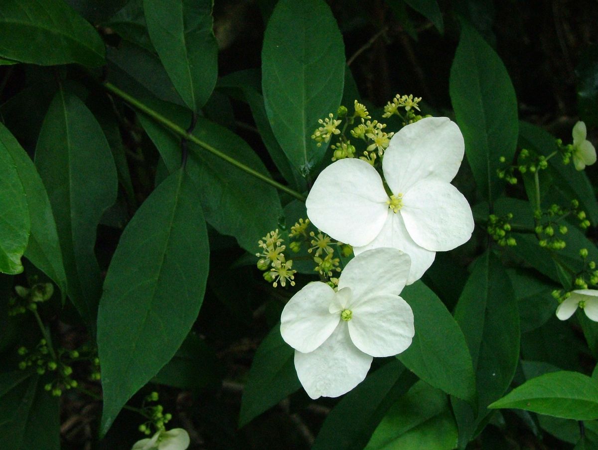 «ö¦¹¦b·sµøµ¡ÂsÄý¹Ï¤ù