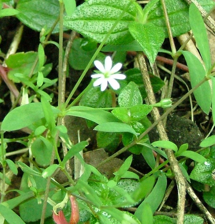 «ö¦¹¦b·sµøµ¡ÂsÄý¹Ï¤ù