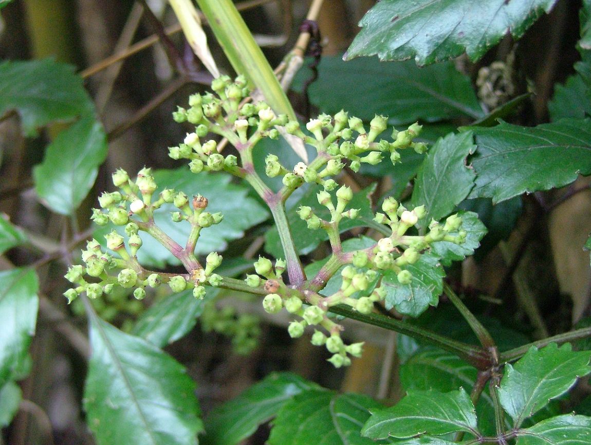 «ö¦¹¦b·sµøµ¡ÂsÄý¹Ï¤ù