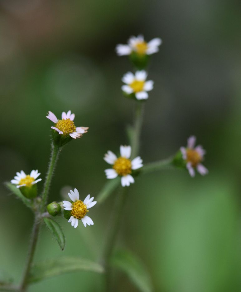 «ö¦¹¦b·sµøµ¡ÂsÄý¹Ï¤ù