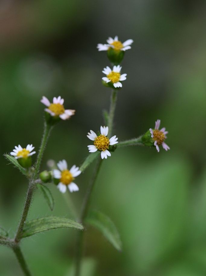 «ö¦¹¦b·sµøµ¡ÂsÄý¹Ï¤ù