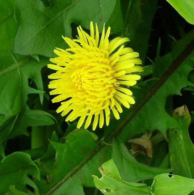 «ö¦¹¦b·sµøµ¡ÂsÄý¹Ï¤ù