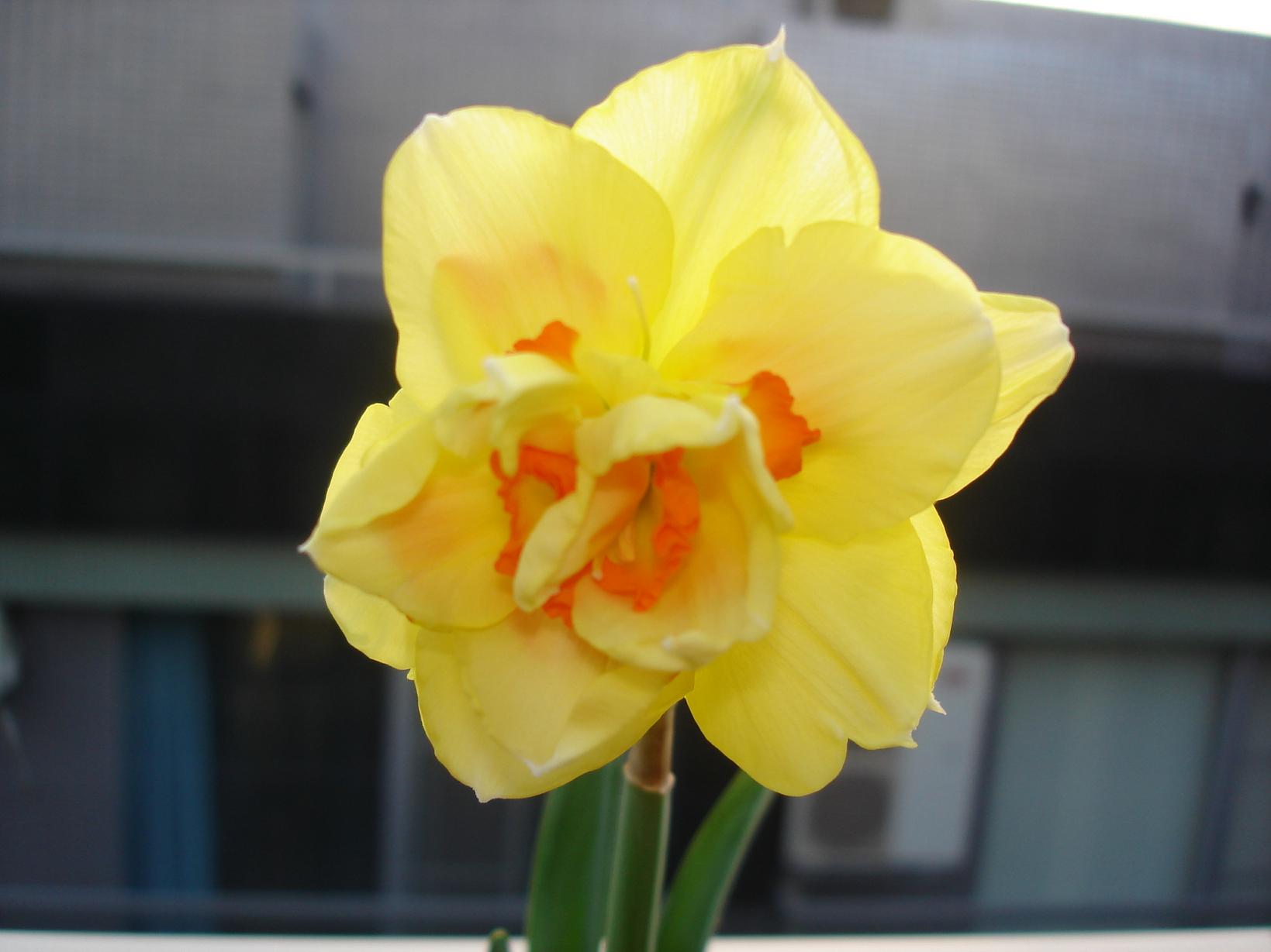 «ö¦¹¦b·sµøµ¡ÂsÄý¹Ï¤ù