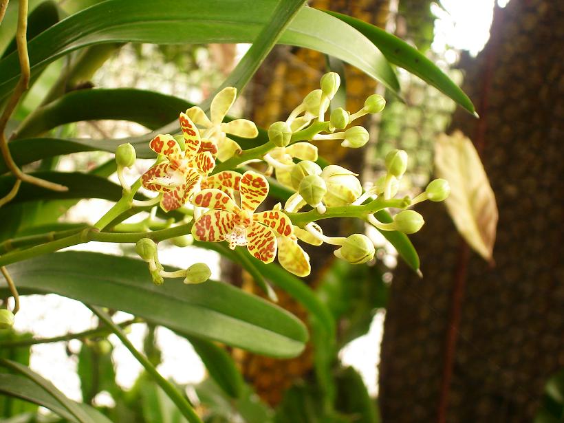 «ö¦¹¦b·sµøµ¡ÂsÄý¹Ï¤ù