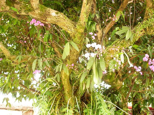 «ö¦¹¦b·sµøµ¡ÂsÄý¹Ï¤ù