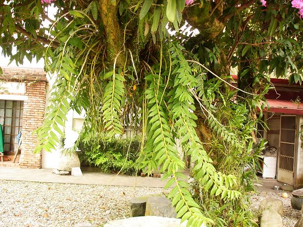 «ö¦¹¦b·sµøµ¡ÂsÄý¹Ï¤ù