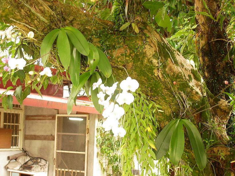 «ö¦¹¦b·sµøµ¡ÂsÄý¹Ï¤ù