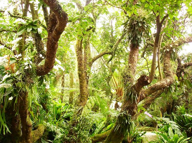 «ö¦¹¦b·sµøµ¡ÂsÄý¹Ï¤ù