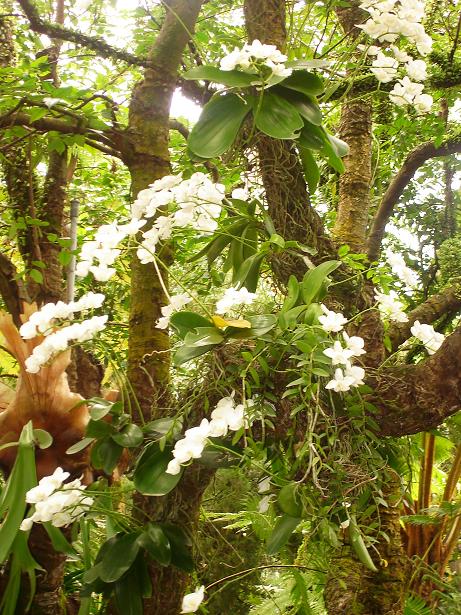 «ö¦¹¦b·sµøµ¡ÂsÄý¹Ï¤ù