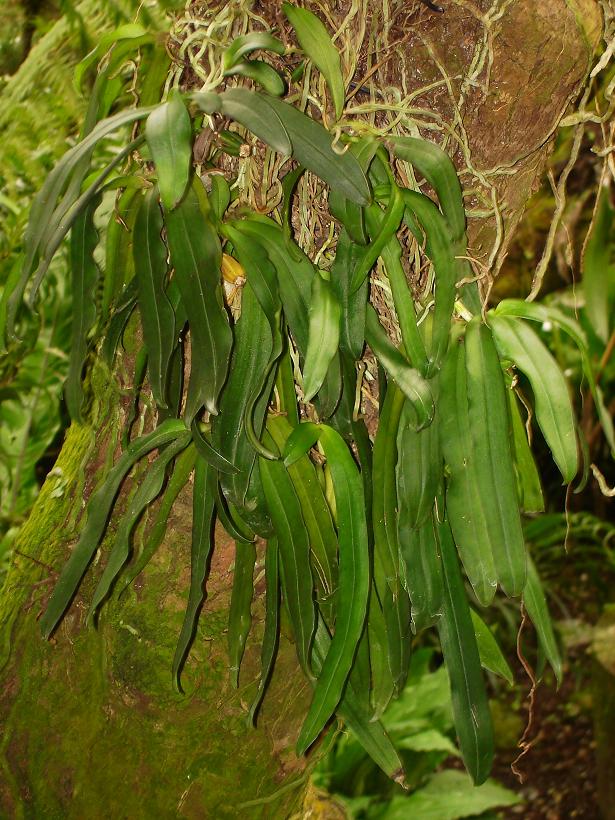 «ö¦¹¦b·sµøµ¡ÂsÄý¹Ï¤ù