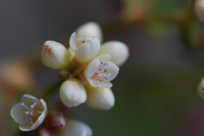 «ö¦¹¦b·sµøµ¡ÂsÄý¹Ï¤ù