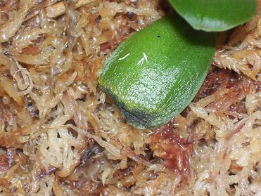 «ö¦¹¦b·sµøµ¡ÂsÄý¹Ï¤ù