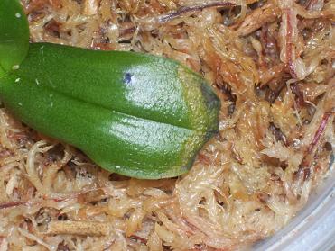 «ö¦¹¦b·sµøµ¡ÂsÄý¹Ï¤ù