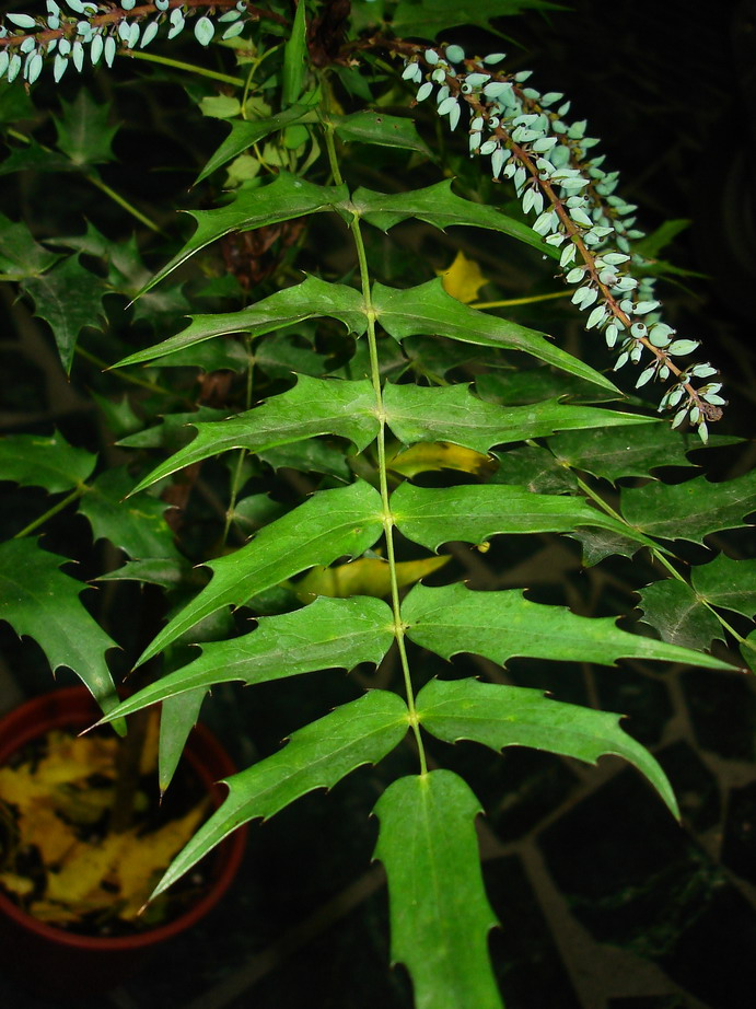 «ö¦¹¦b·sµøµ¡ÂsÄý¹Ï¤ù