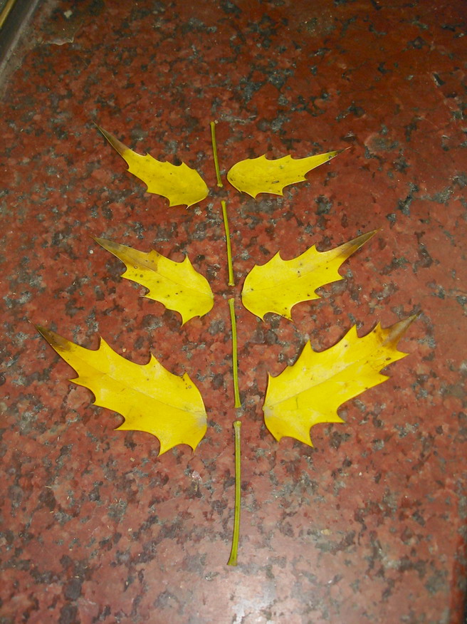 «ö¦¹¦b·sµøµ¡ÂsÄý¹Ï¤ù