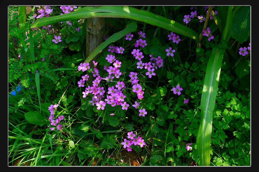 «ö¦¹¦b·sµøµ¡ÂsÄý¹Ï¤ù