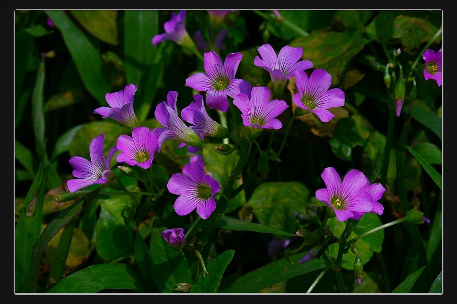 «ö¦¹¦b·sµøµ¡ÂsÄý¹Ï¤ù