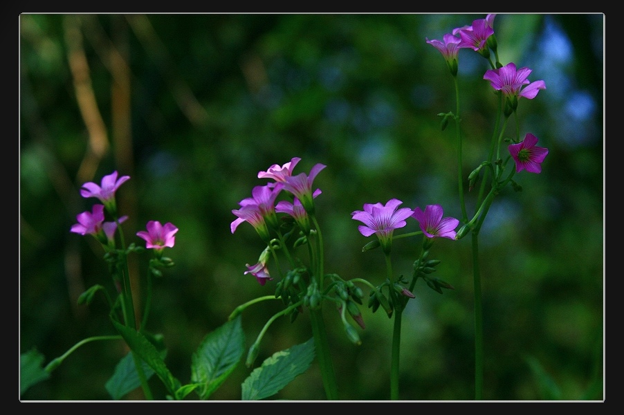 «ö¦¹¦b·sµøµ¡ÂsÄý¹Ï¤ù