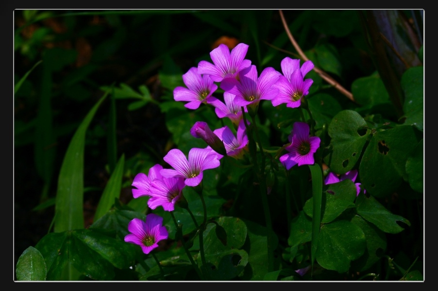 «ö¦¹¦b·sµøµ¡ÂsÄý¹Ï¤ù