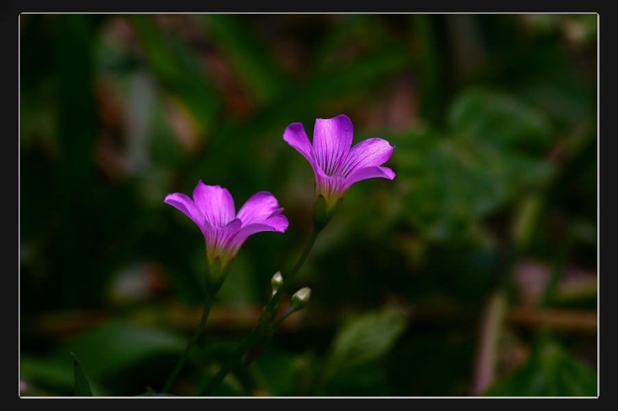 «ö¦¹¦b·sµøµ¡ÂsÄý¹Ï¤ù