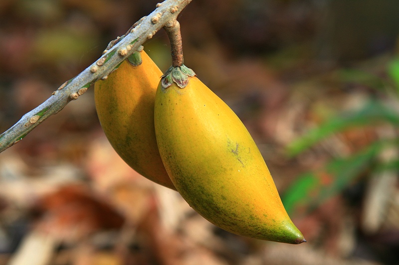 «ö¦¹¦b·sµøµ¡ÂsÄý¹Ï¤ù