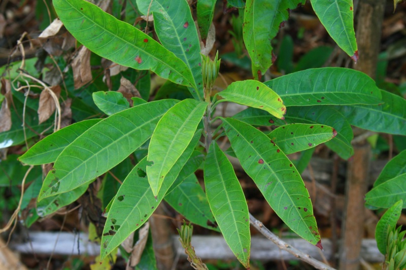 «ö¦¹¦b·sµøµ¡ÂsÄý¹Ï¤ù