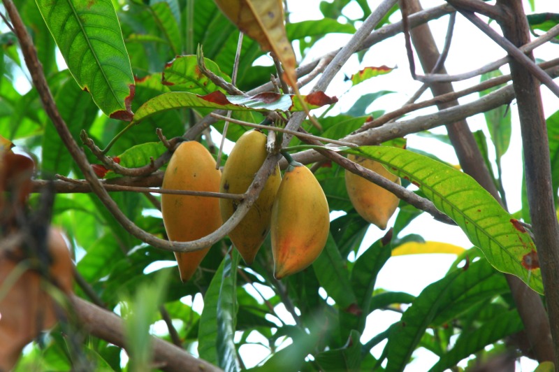 «ö¦¹¦b·sµøµ¡ÂsÄý¹Ï¤ù