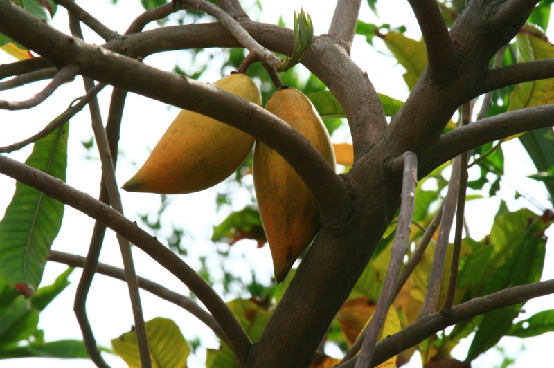 «ö¦¹¦b·sµøµ¡ÂsÄý¹Ï¤ù