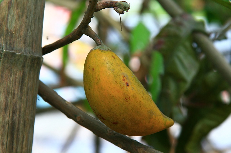 «ö¦¹¦b·sµøµ¡ÂsÄý¹Ï¤ù