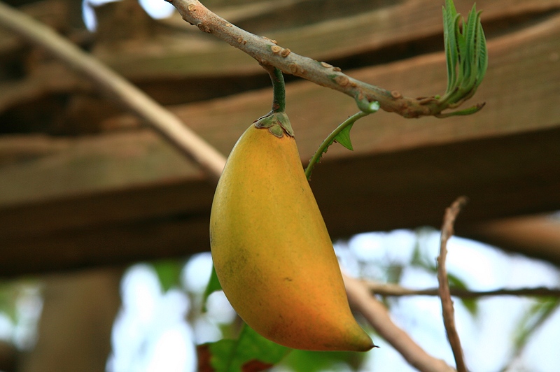 «ö¦¹¦b·sµøµ¡ÂsÄý¹Ï¤ù