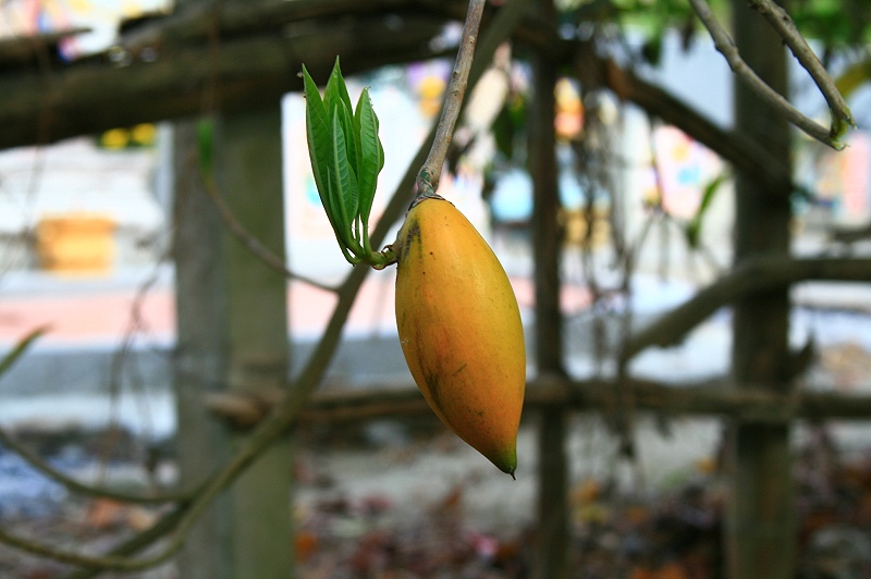 «ö¦¹¦b·sµøµ¡ÂsÄý¹Ï¤ù