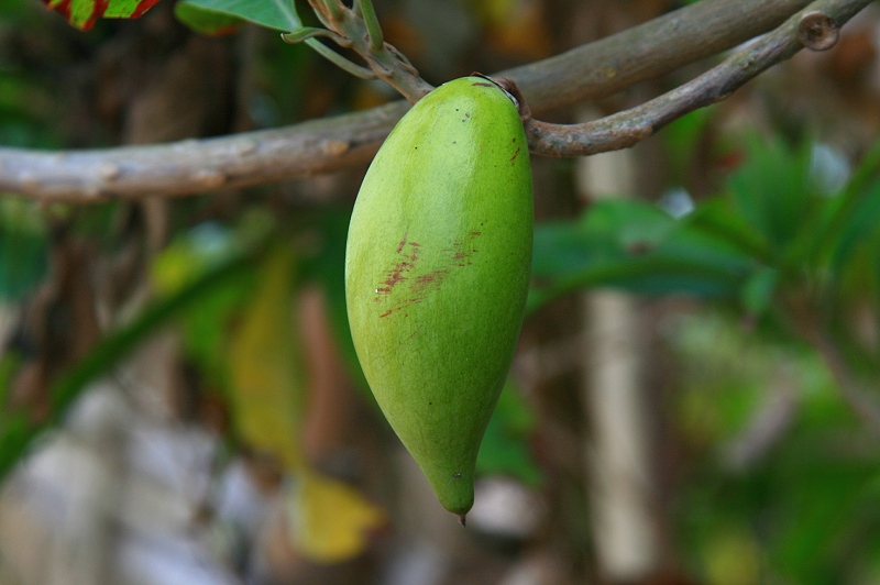 «ö¦¹¦b·sµøµ¡ÂsÄý¹Ï¤ù