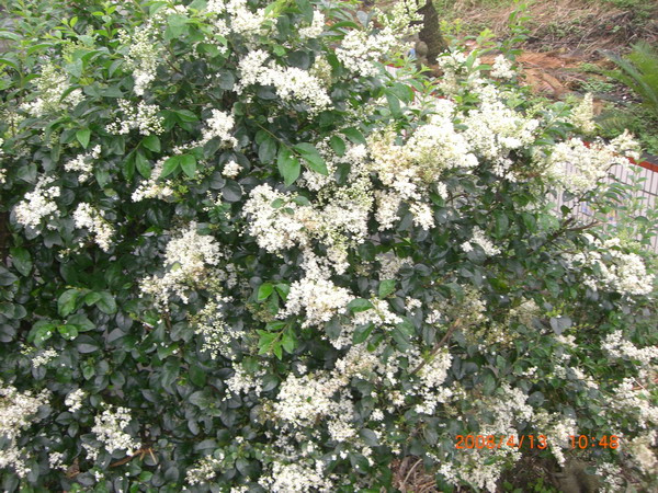 «ö¦¹¦b·sµøµ¡ÂsÄý¹Ï¤ù