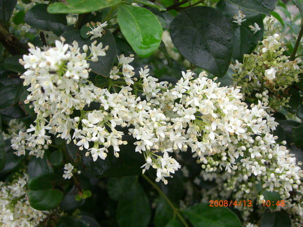 «ö¦¹¦b·sµøµ¡ÂsÄý¹Ï¤ù