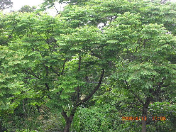 «ö¦¹¦b·sµøµ¡ÂsÄý¹Ï¤ù