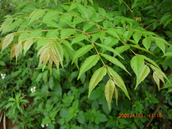 «ö¦¹¦b·sµøµ¡ÂsÄý¹Ï¤ù