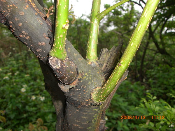 «ö¦¹¦b·sµøµ¡ÂsÄý¹Ï¤ù