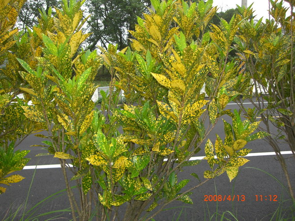 «ö¦¹¦b·sµøµ¡ÂsÄý¹Ï¤ù