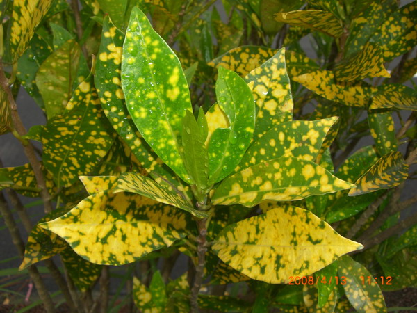 «ö¦¹¦b·sµøµ¡ÂsÄý¹Ï¤ù