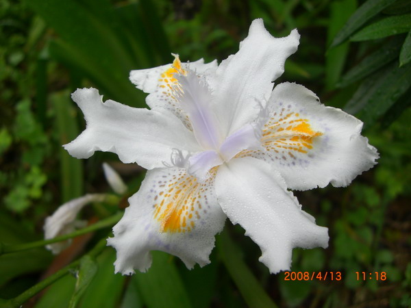 «ö¦¹¦b·sµøµ¡ÂsÄý¹Ï¤ù