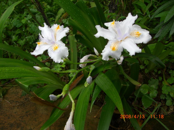 «ö¦¹¦b·sµøµ¡ÂsÄý¹Ï¤ù