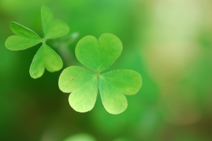 «ö¦¹¦b·sµøµ¡ÂsÄý¹Ï¤ù