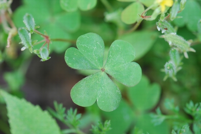 «ö¦¹¦b·sµøµ¡ÂsÄý¹Ï¤ù