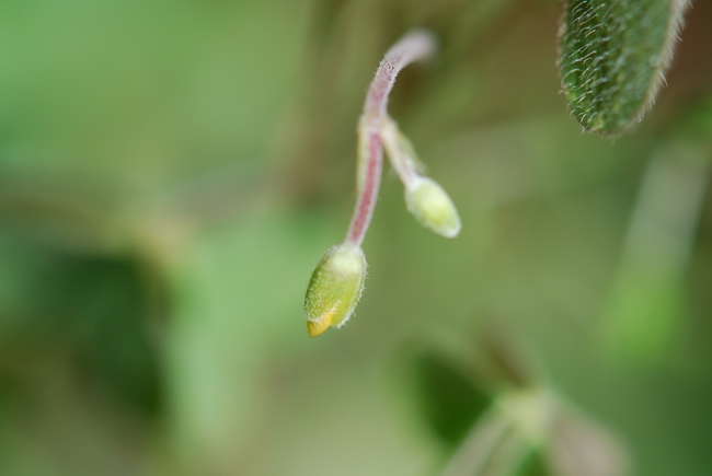 «ö¦¹¦b·sµøµ¡ÂsÄý¹Ï¤ù